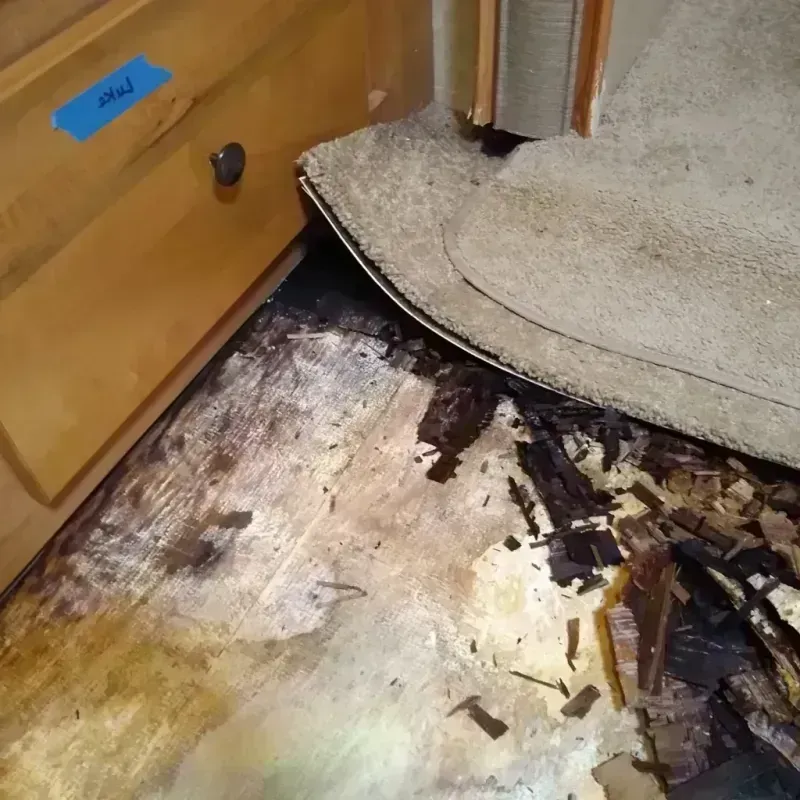 Best Wood Floor Water Damage Service in Steele County, ND